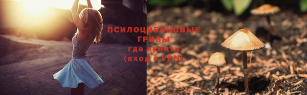 таблы Лабытнанги
