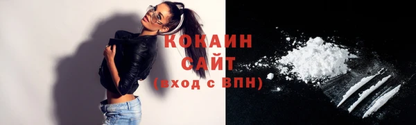 соль ск Ладушкин