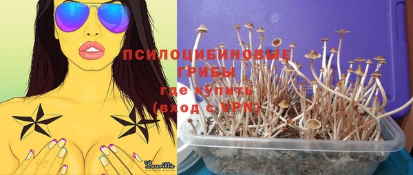 таблы Лабытнанги