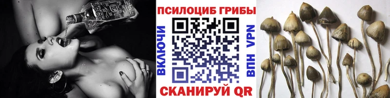 Псилоцибиновые грибы мухоморы мега маркетплейс Ува купить закладку