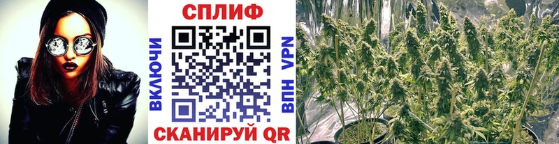 что такое наркотик  Ува  OMG ССЫЛКА  Каннабис Ganja 